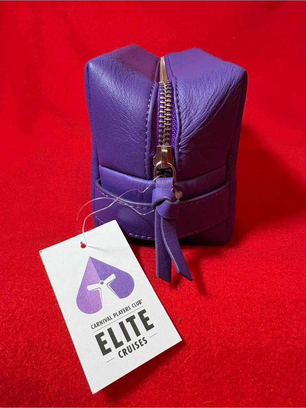 NWT Carnival Players Club Elite Purple Genuine Leather Cosmetic Travel Bag
